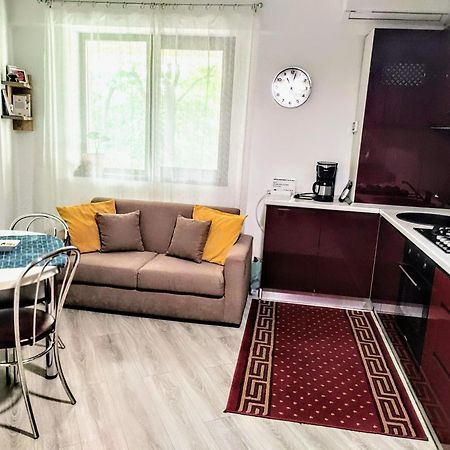 Simona Apartament Palas Mall 1 Iasi Exterior foto